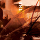 Illustration for article titled See For Yourself Why This Dark Urban Fantasy Book Is Making So Many Waves